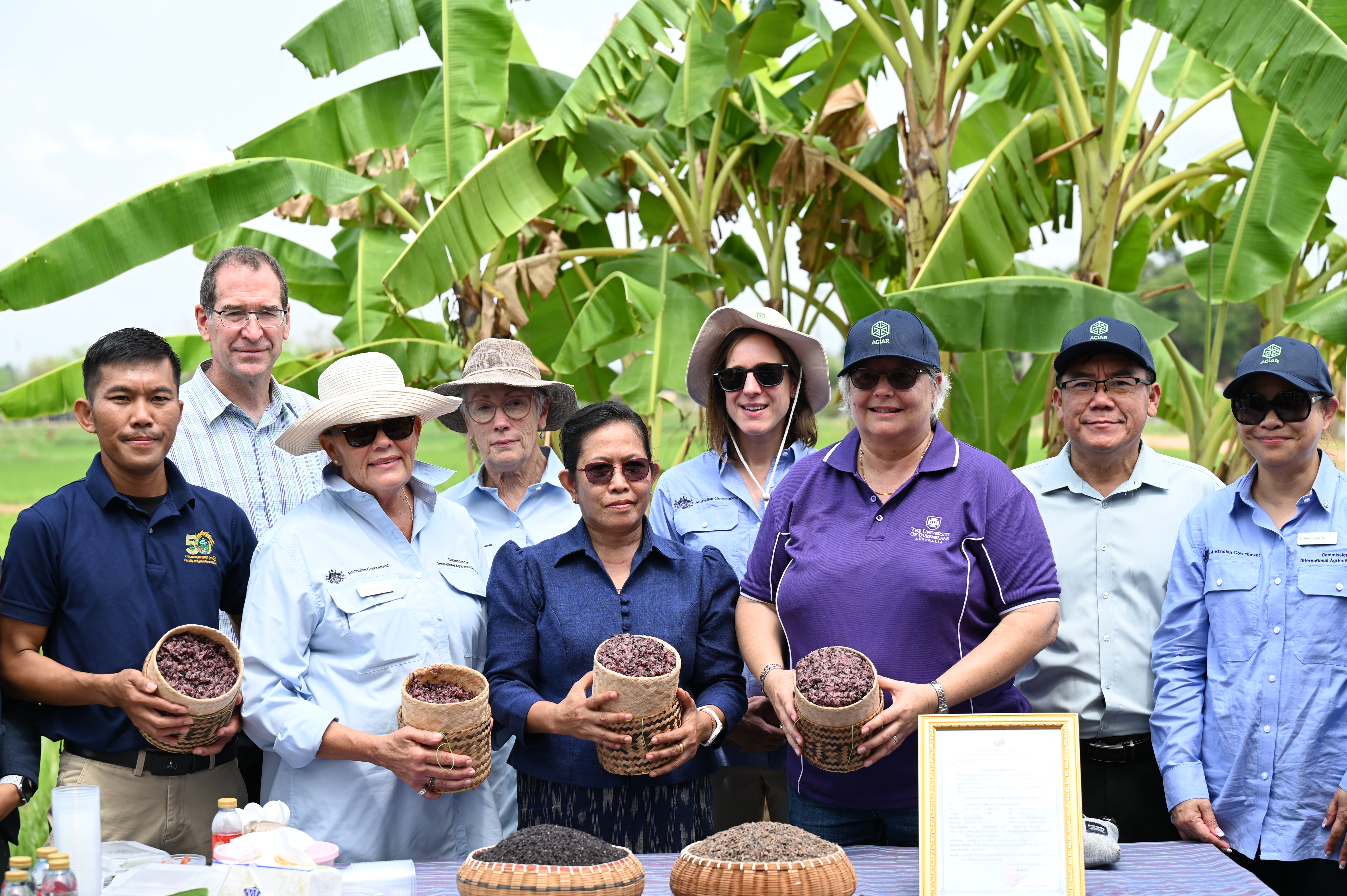 A group of project partners standing in a banana plantation, holding baskets of harvested rice.