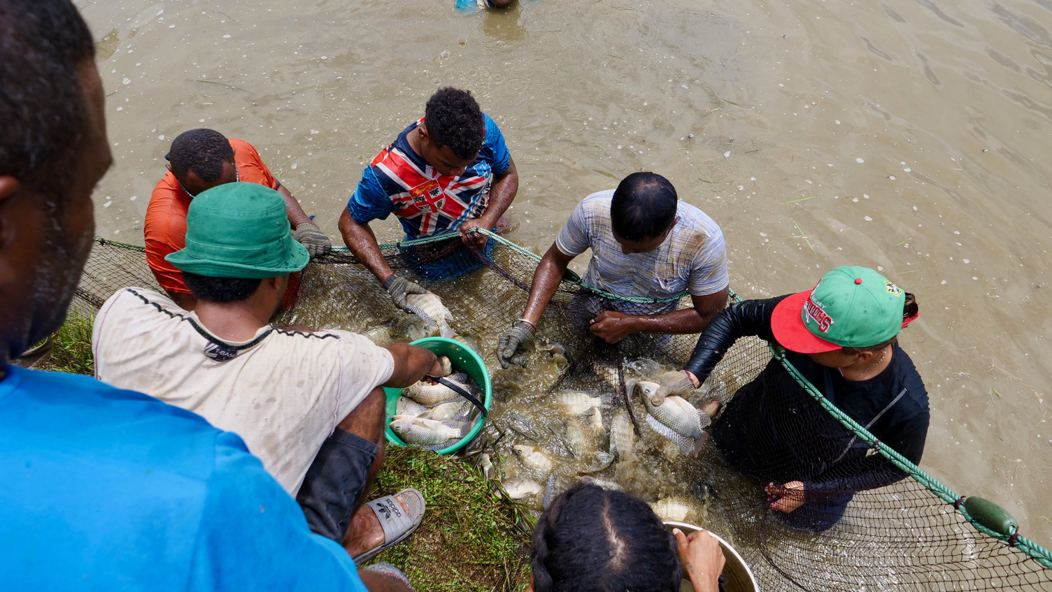 A group works together in shallow water to harvest fish using a net.