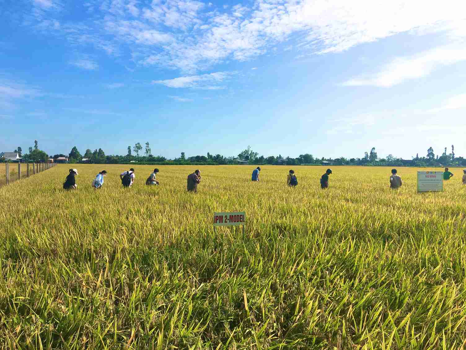 to prevent or manage new pests and diseases.