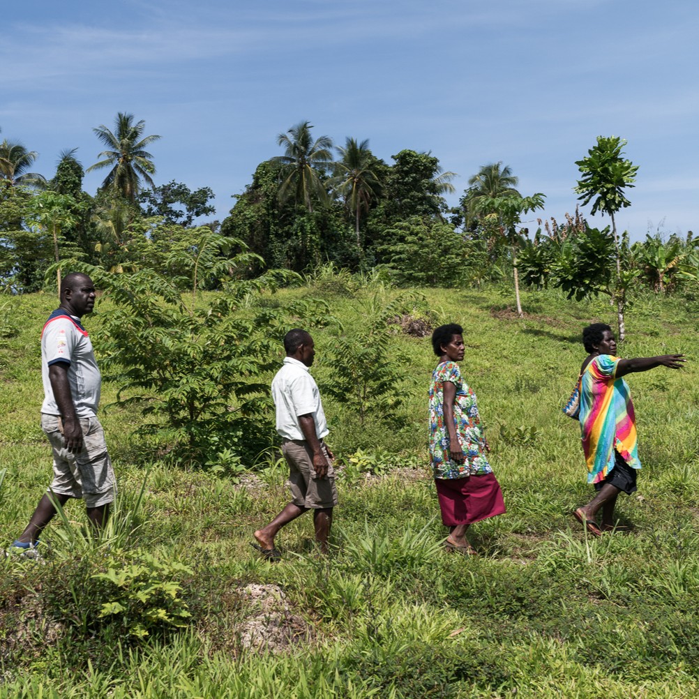 eople walking in a line through a lush green field with tropical trees, as one person points ahead.