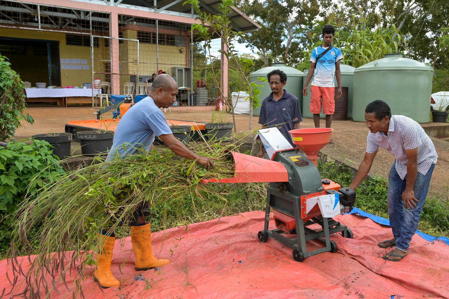Farmer feeds cut grass into a small chopper machine while others observe beside water tanks and a rural building