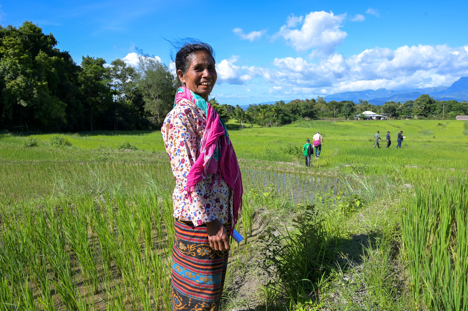 Farmer stands in a green rice field with others walking in the background across the landscape.