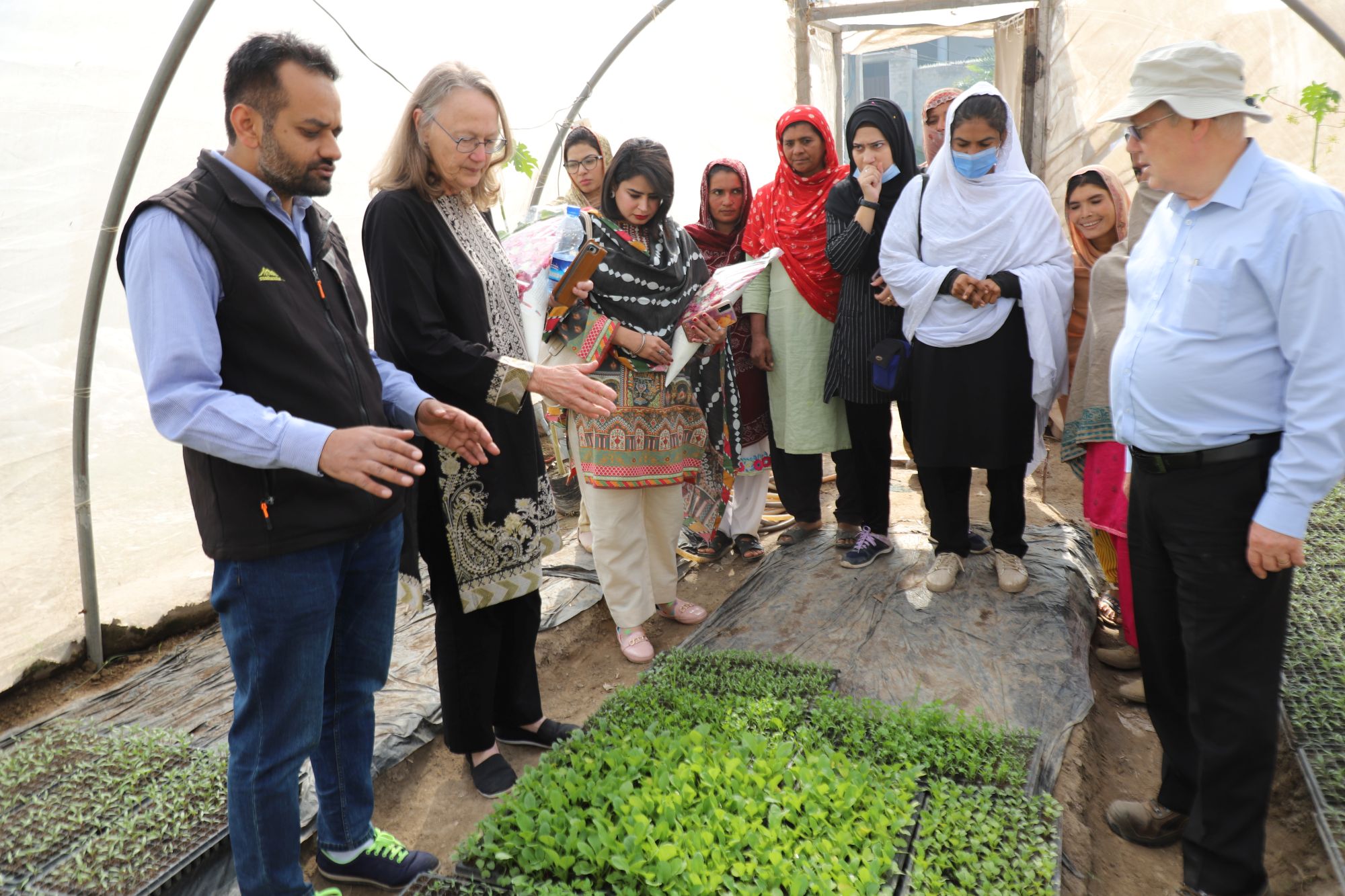 Group of people inspecting seedling trays inside a greenhouse nursery.