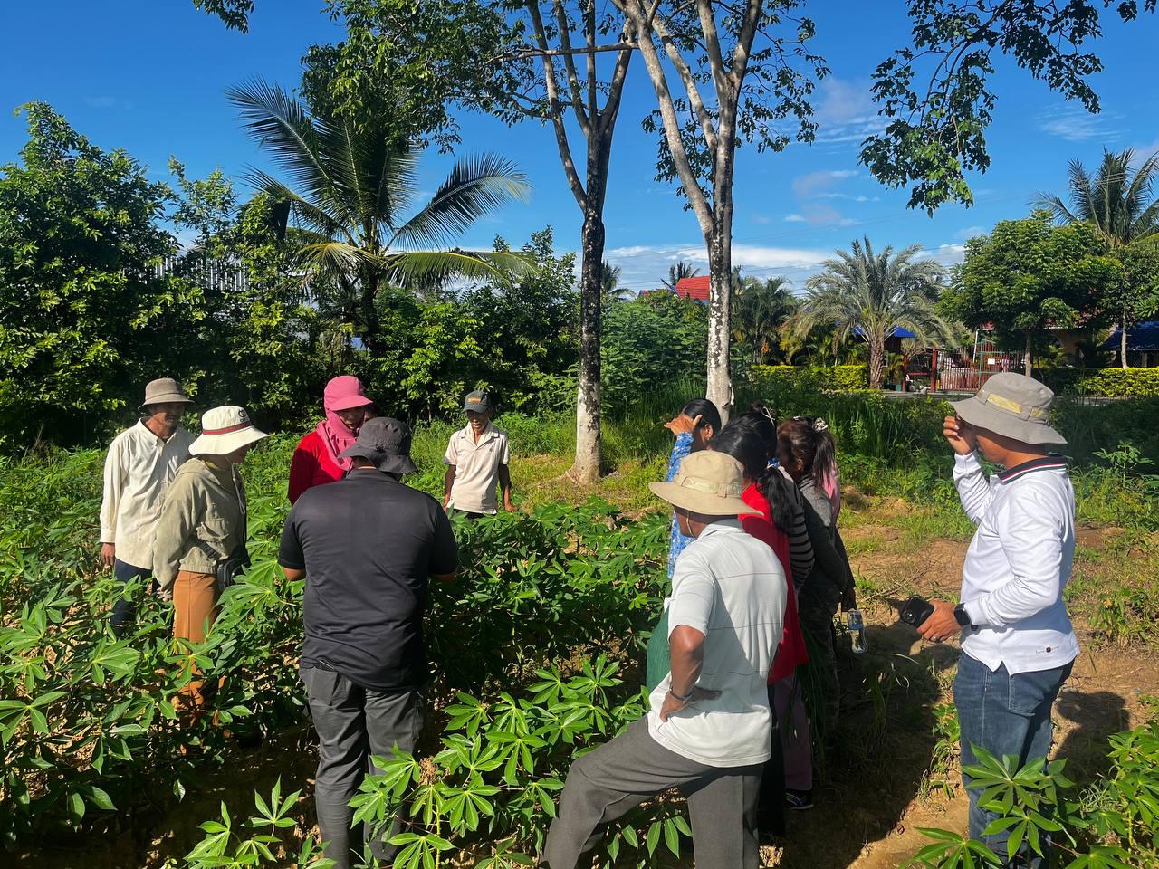 Farmers gather in a cassava field for a training session.