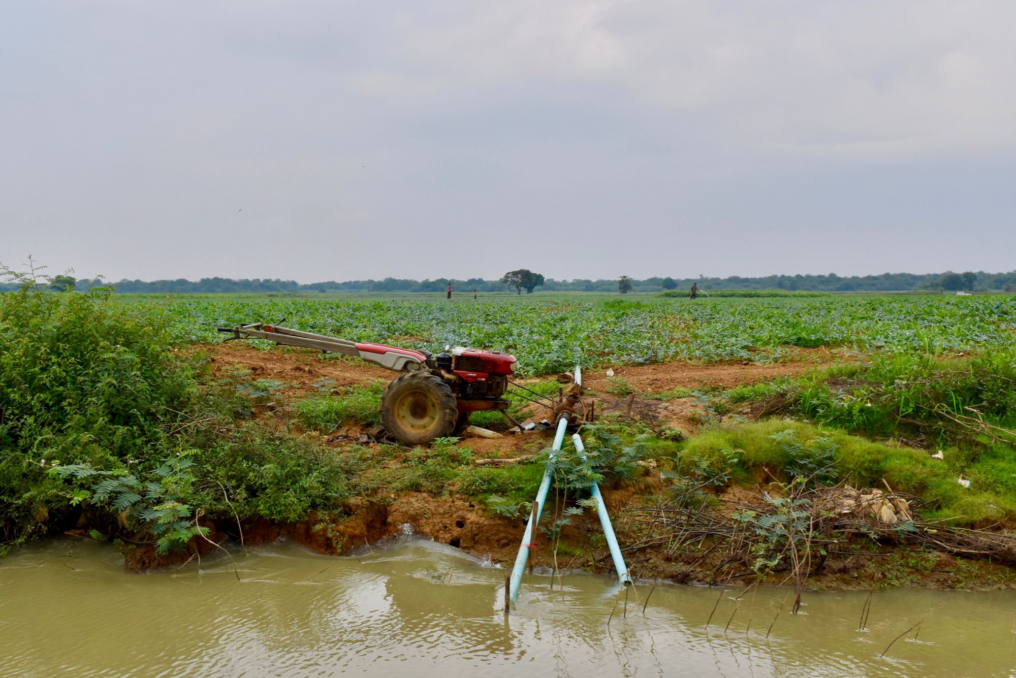 An irrigation pump draws water from a canal to nearby crop fields.