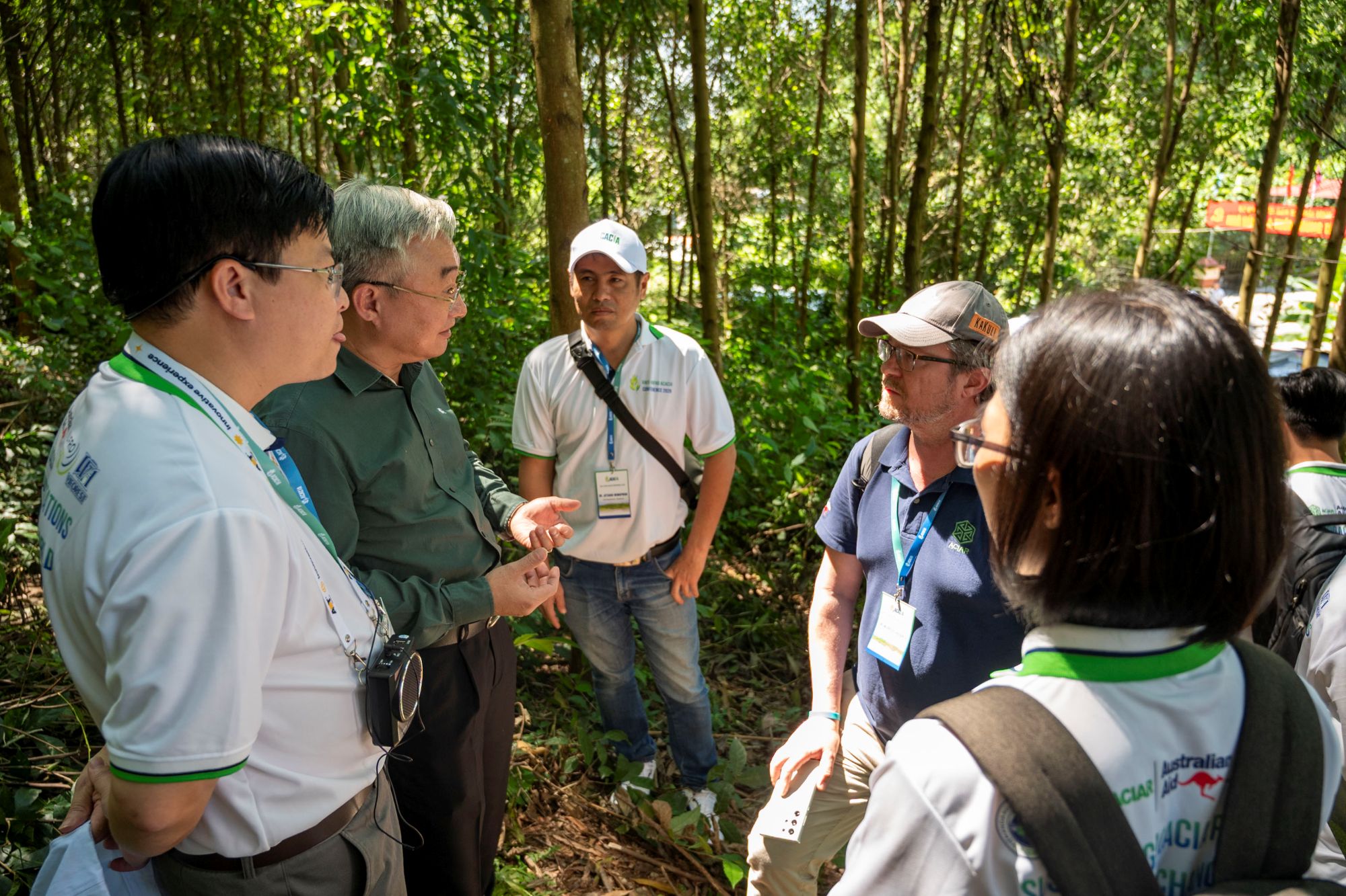 Researchers visiting an acacia plantation