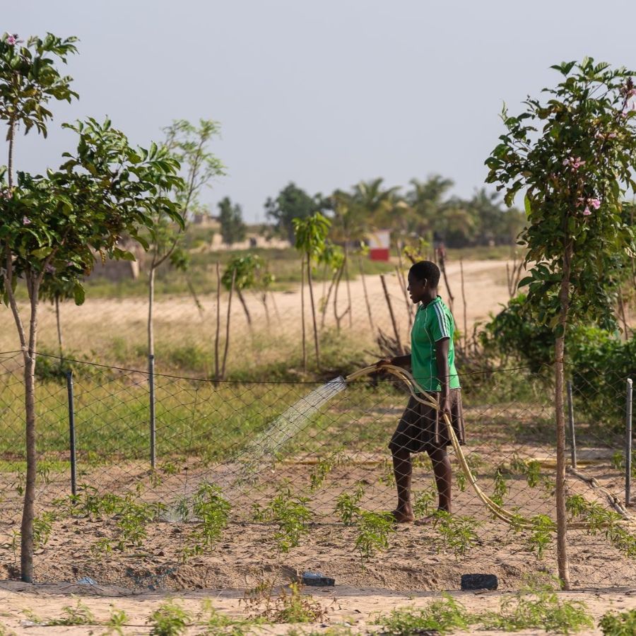 Young woman from Ghan watering her land