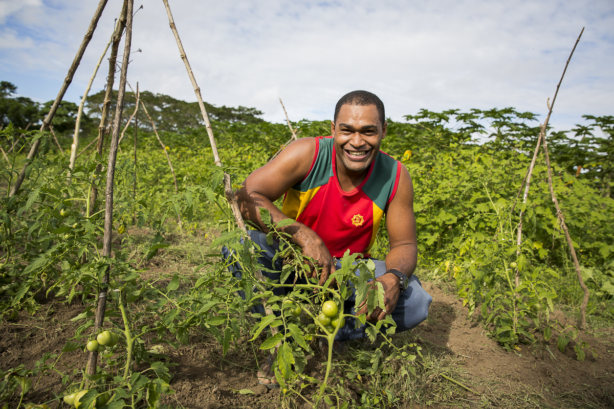 Man kneeling next to a tomato plant