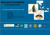Liriomyza Parasitoids