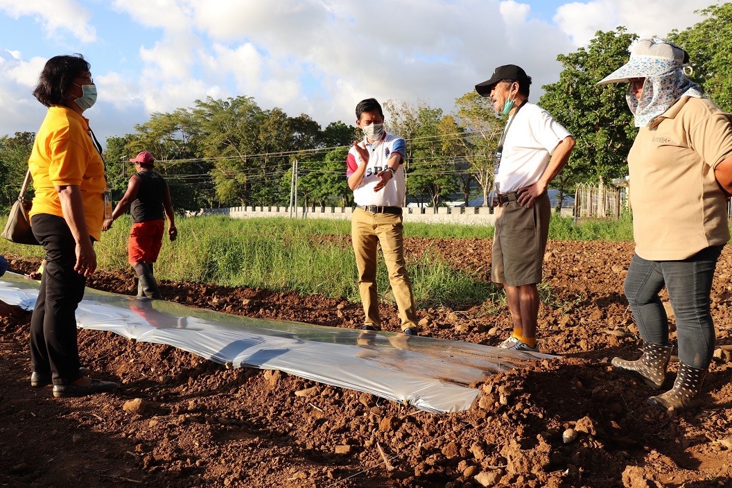 VSU President Dr. Edgardo E. Tulin (3rd right) discusses with ACIAR-VSU project team members Dr. Rosario A. Salas, Dr. Othello B. Capuno and Dr. Zenaida C. Gonzaga about how the crops should be planted.