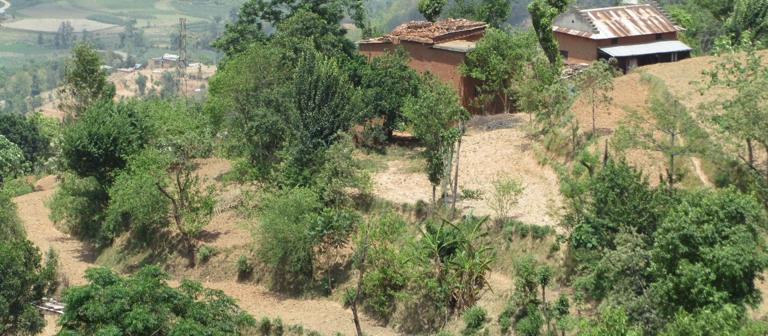 A valley in Nepal with houses