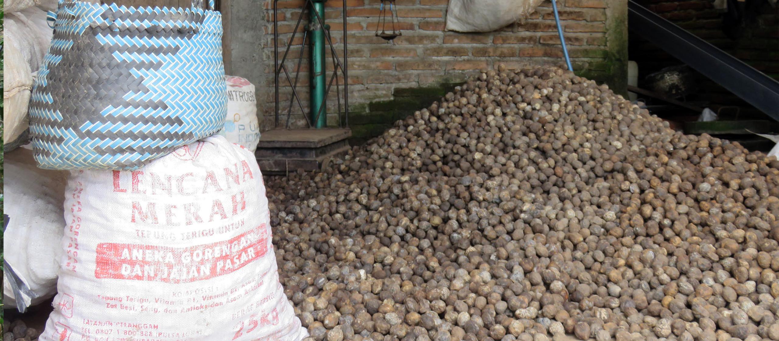 Harvested Nuts