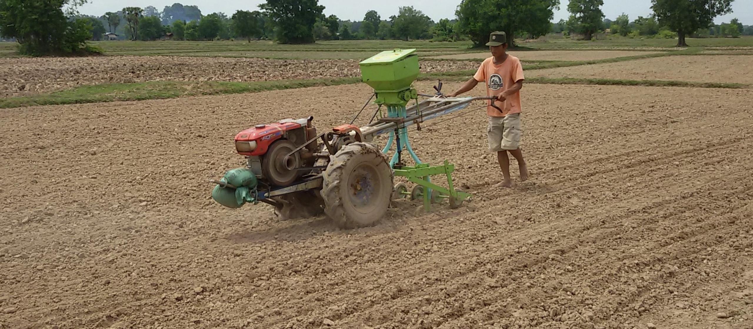 man sowing seeds