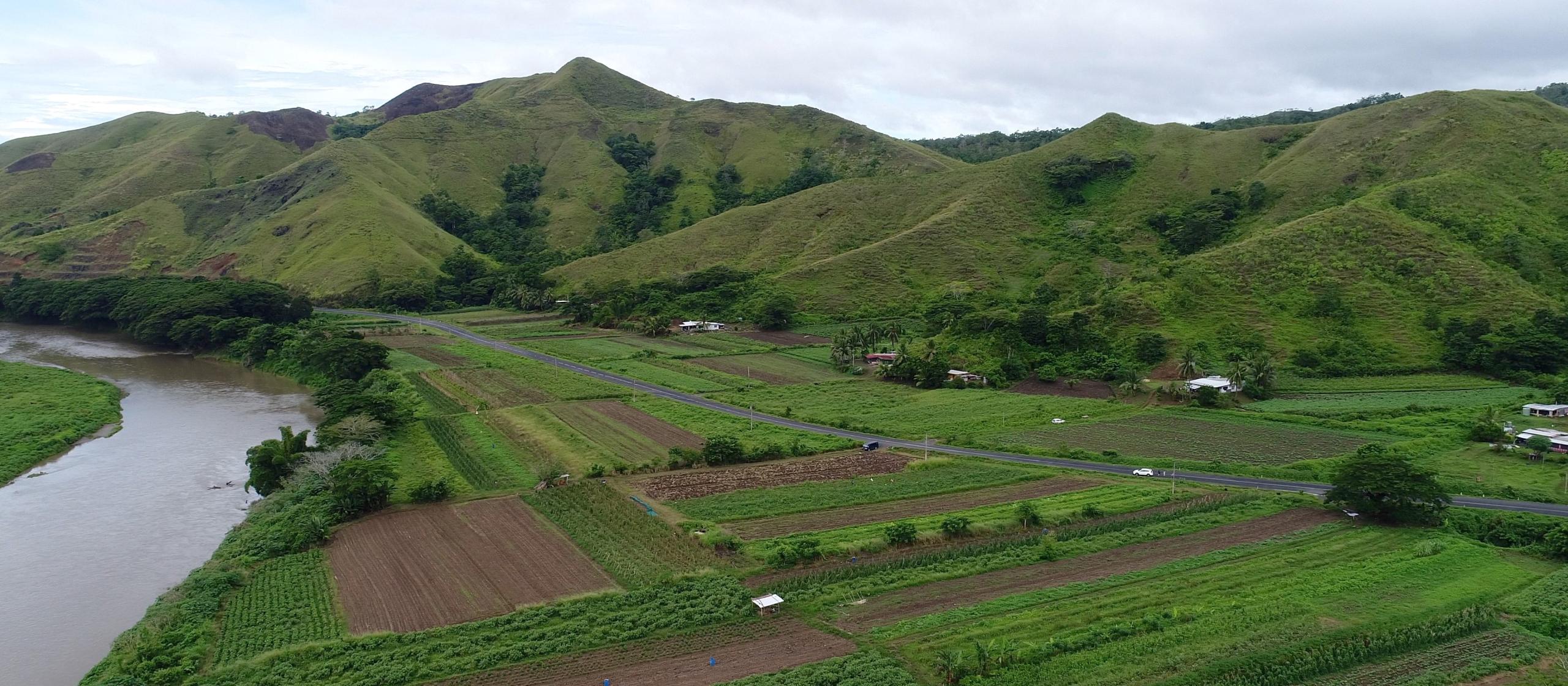 green farmland