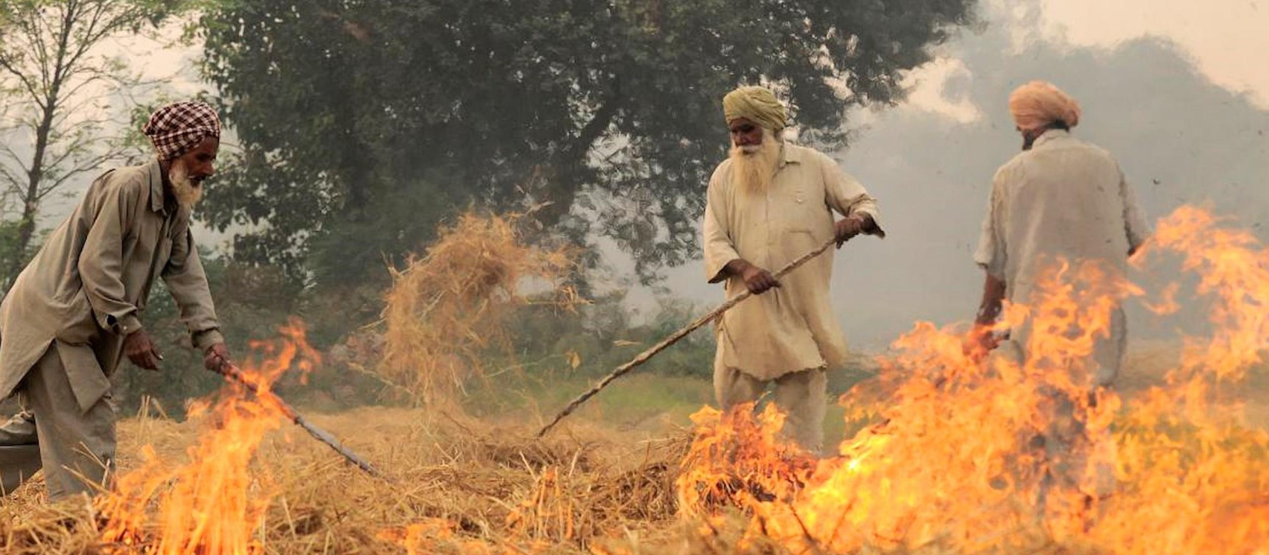 Burning of rice residues in SE Punjab, India, prior to the wheat season. Image: Neil Palmer (CIAT). CC BY-SA 2.0