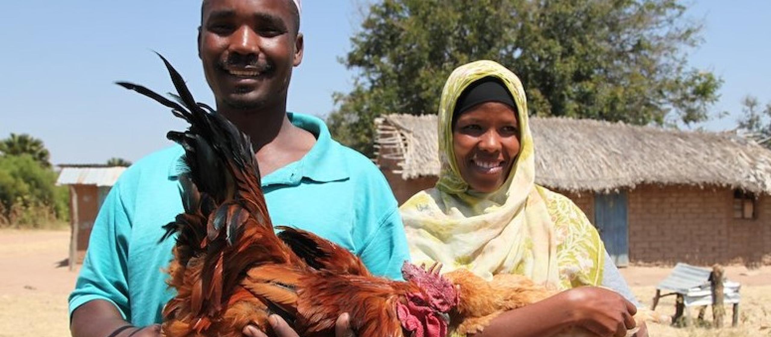 A man holds his rooster