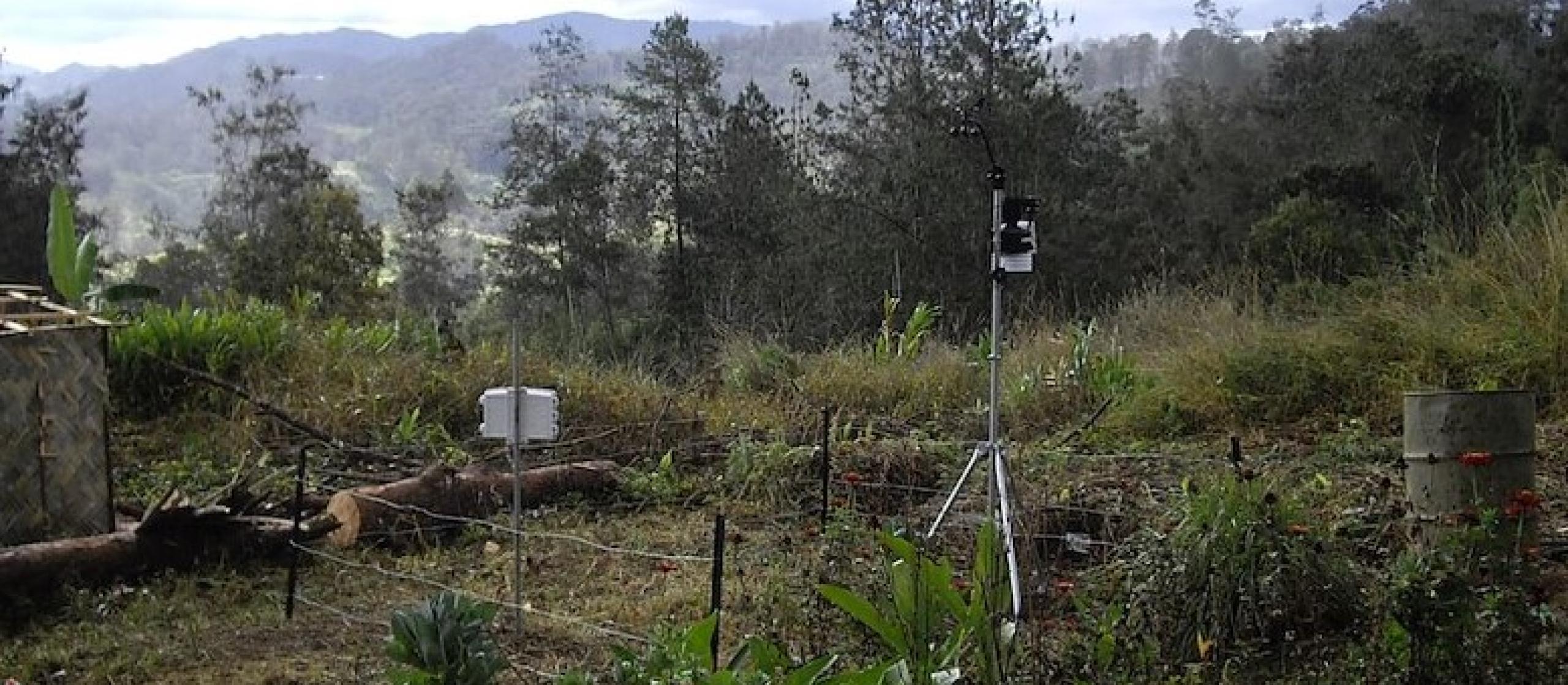 A field with equipment in it