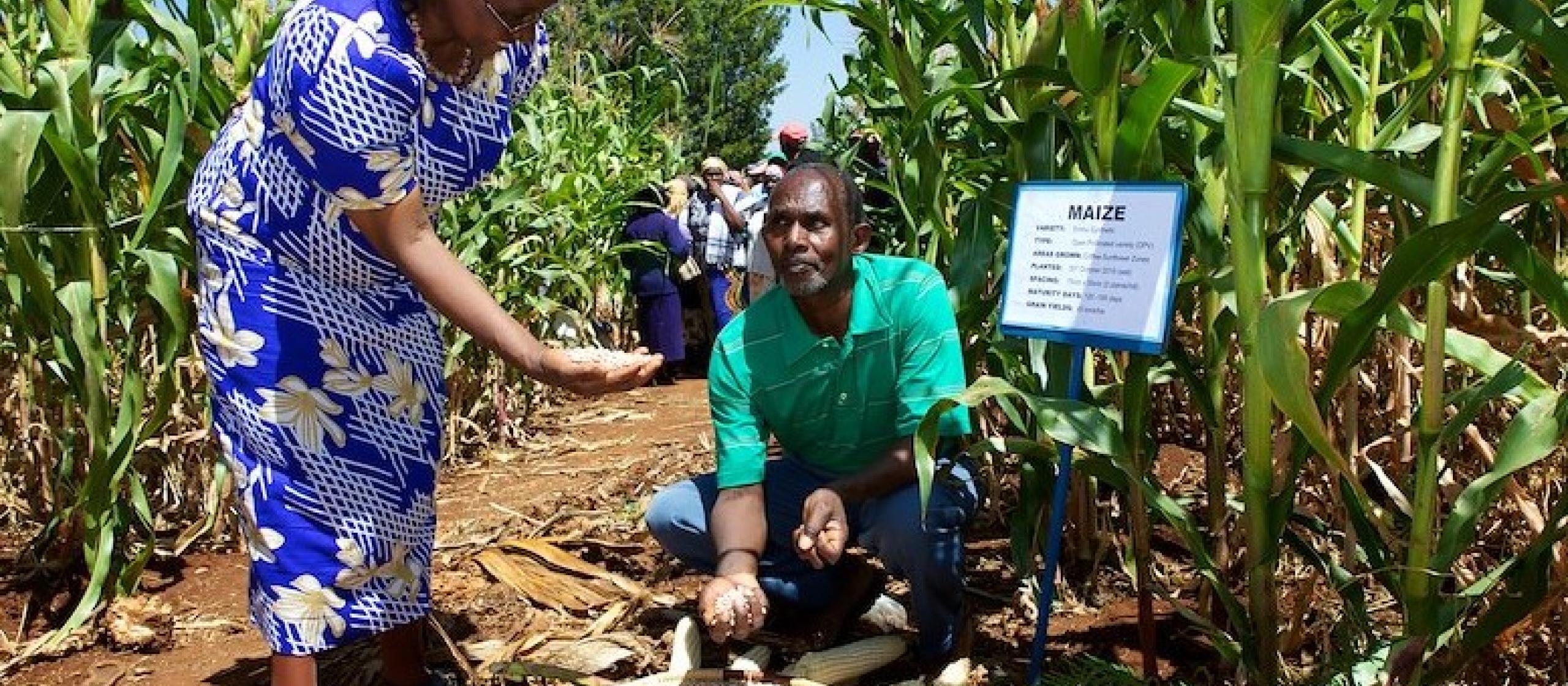 A farmer shows his harvested maize to a woman
