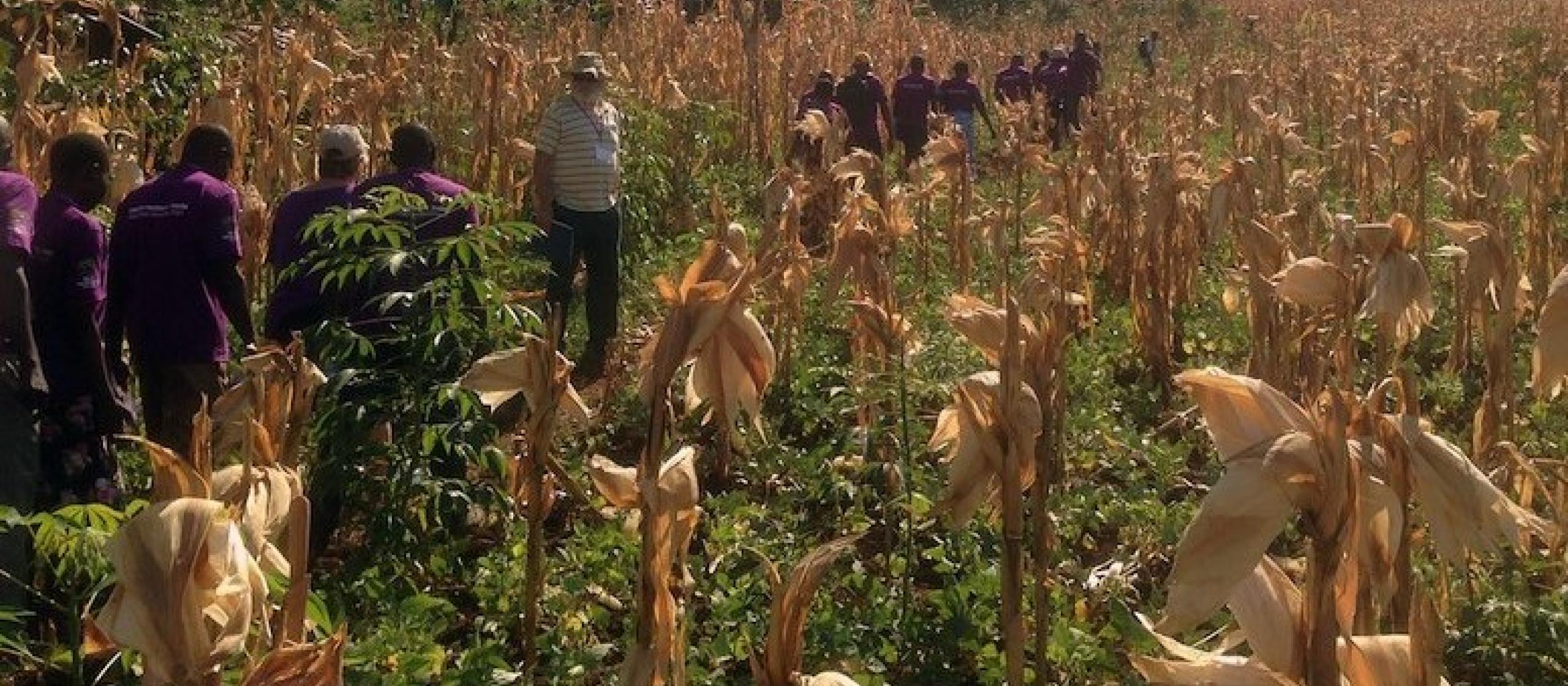 Landcare teaching local farmers