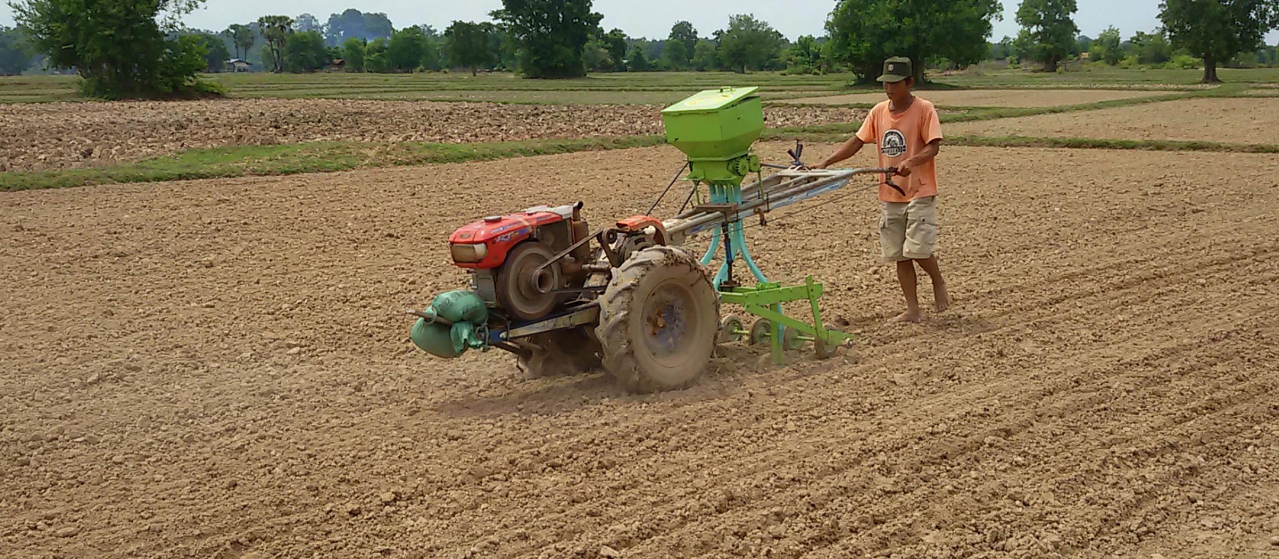 A man ploughs a rice field
