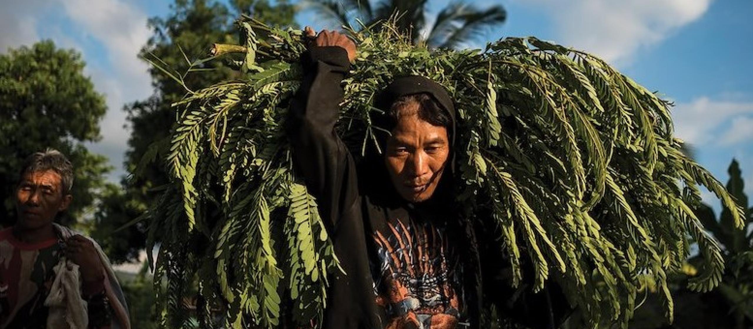 A woman carries fruit