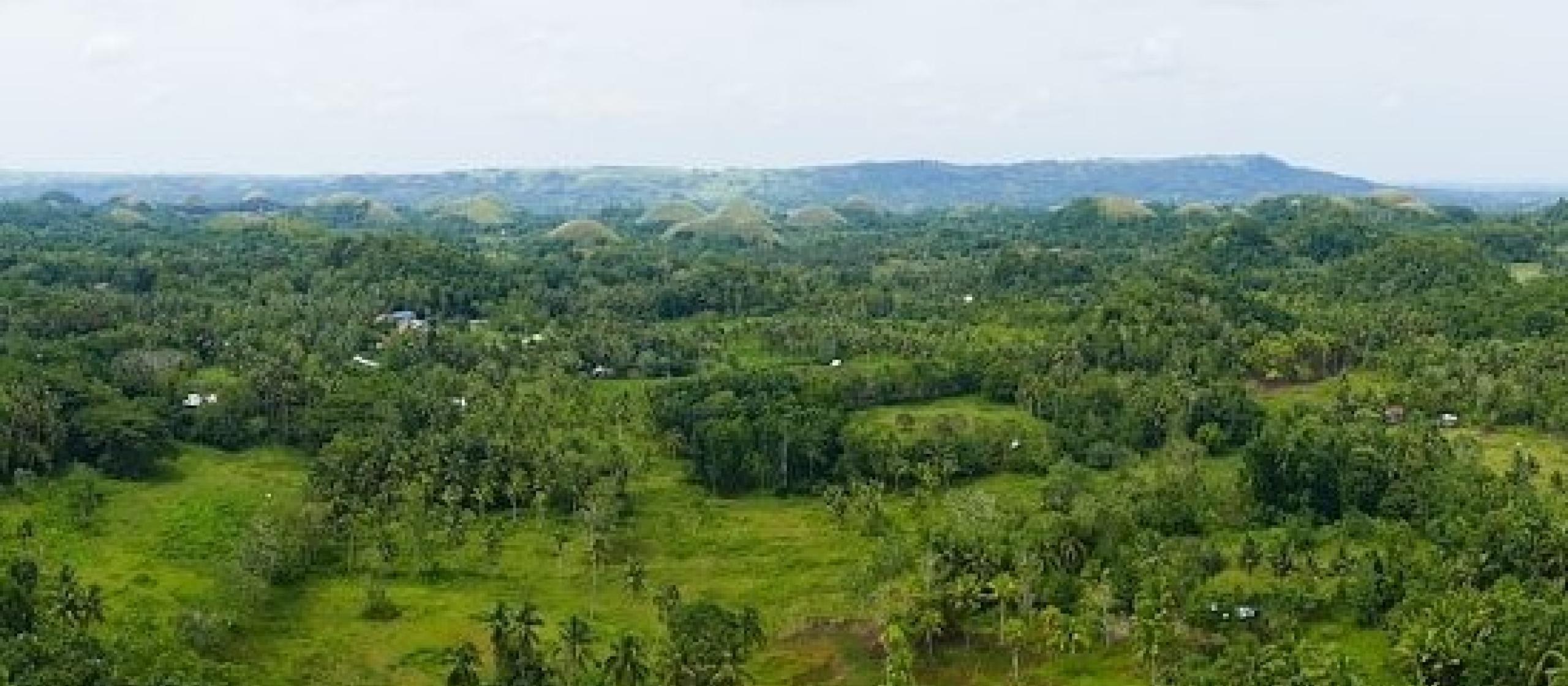Philippines' forest