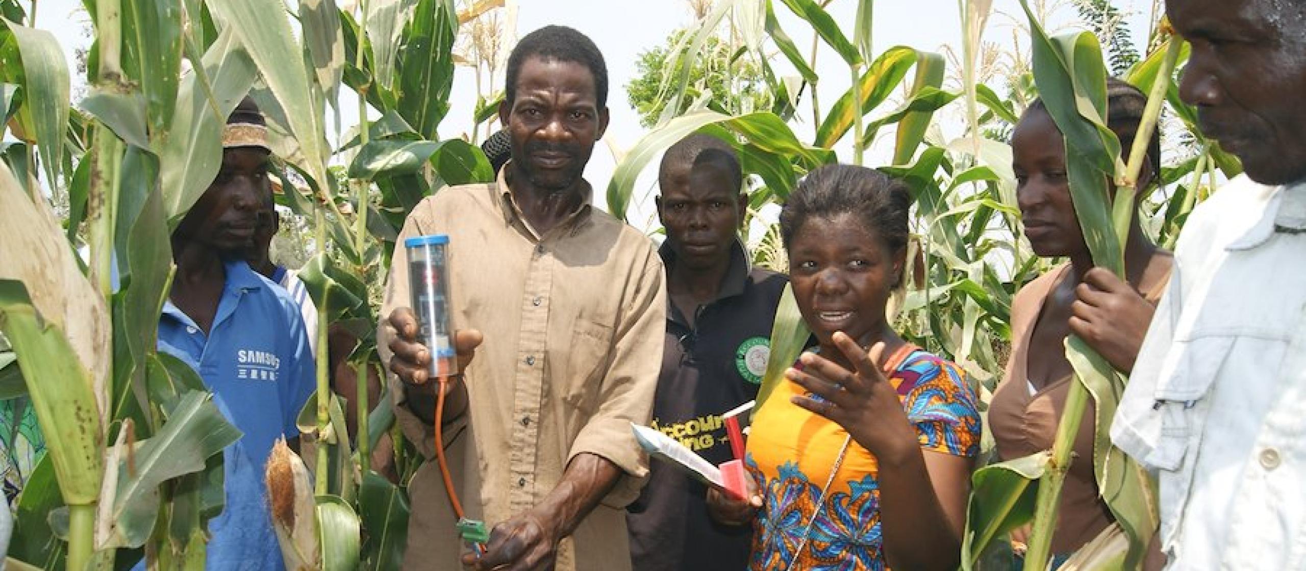 Smallholder maize farmers and VIA members in the field in Malawi with the Chameleon Soil Water Sensor. Credit: Dr Richard Stirzaker
