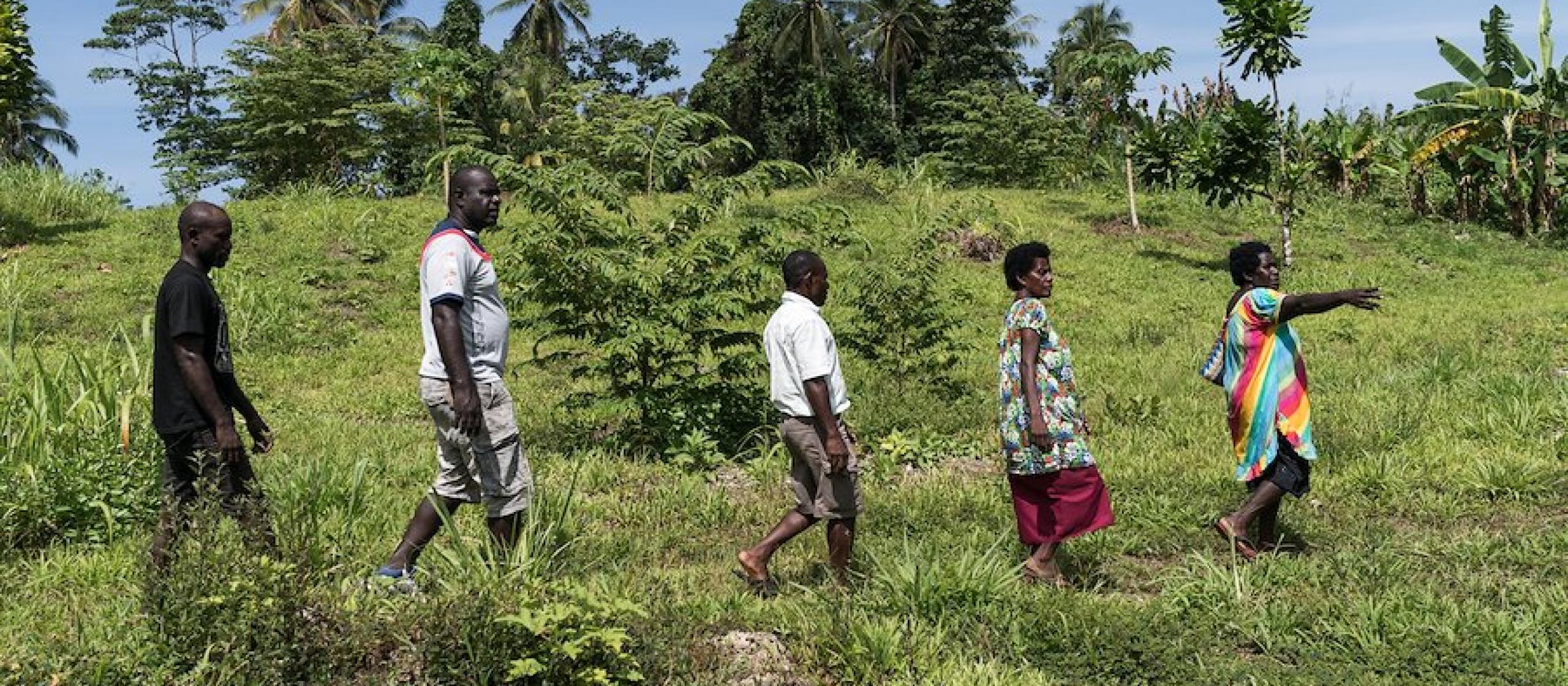 Farmers walk through a field