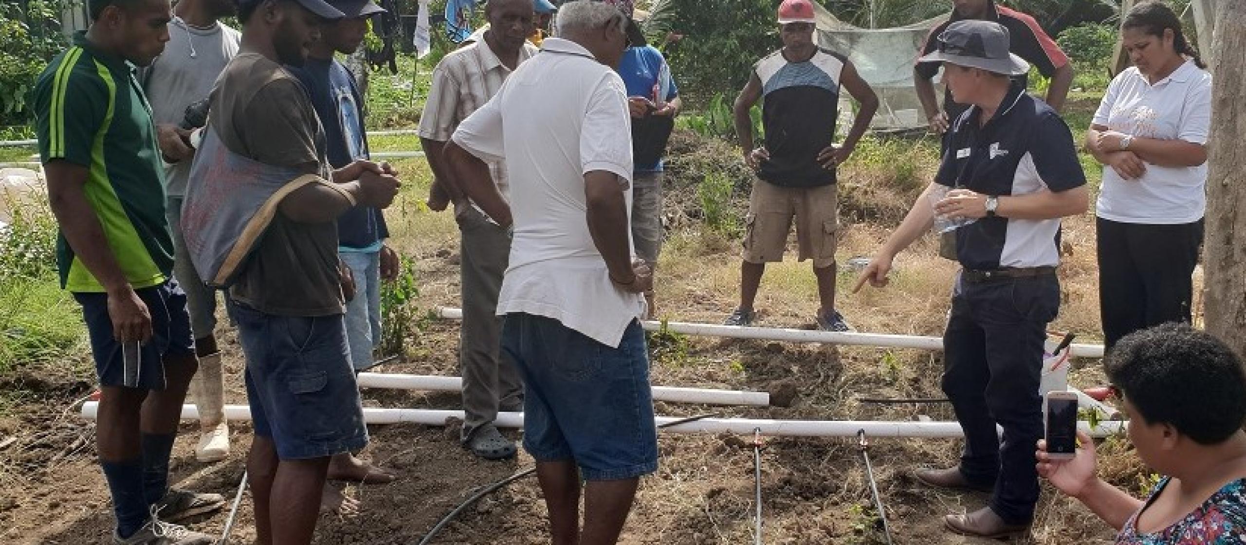 building greenhouse