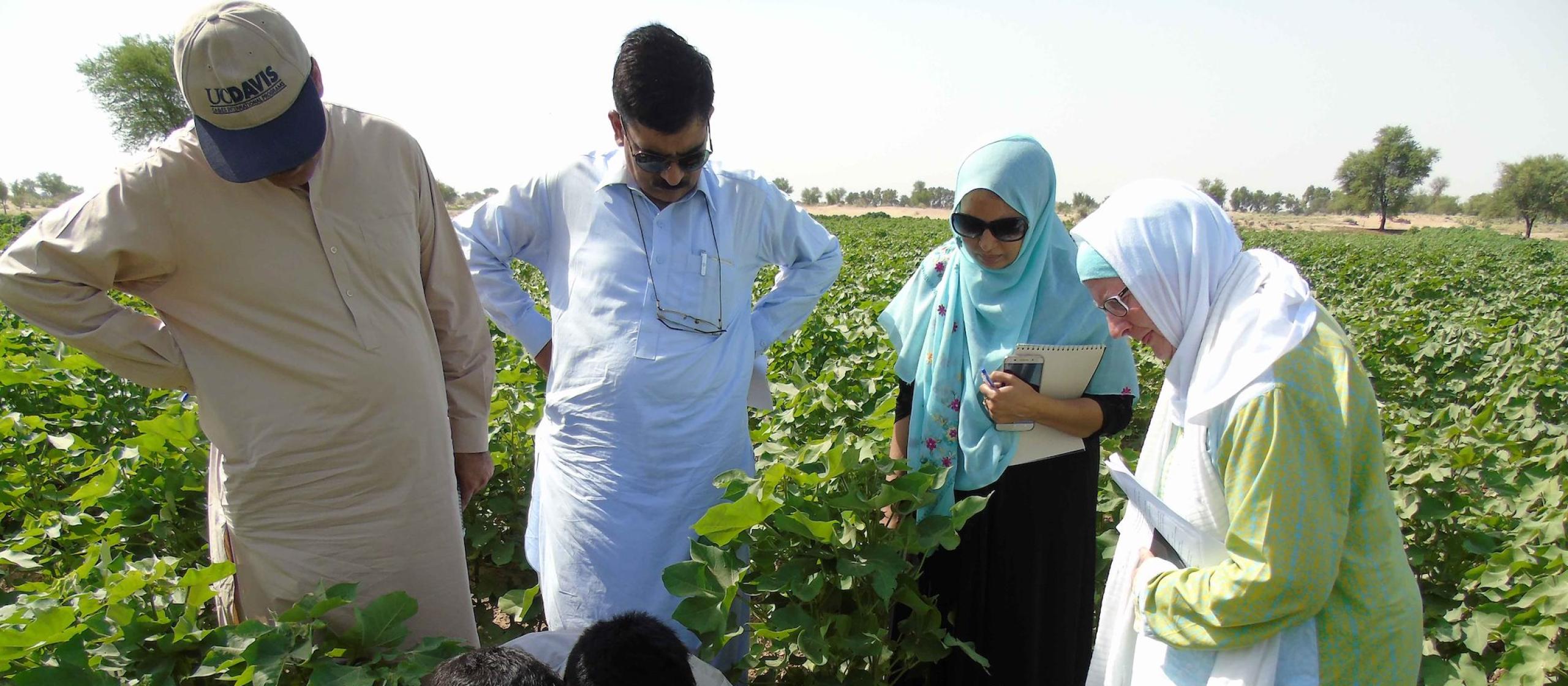 Dr Sandra Heany-Mustafa’s journey to working with people in Pakistan is helping build farmer skills and share local knowledge.