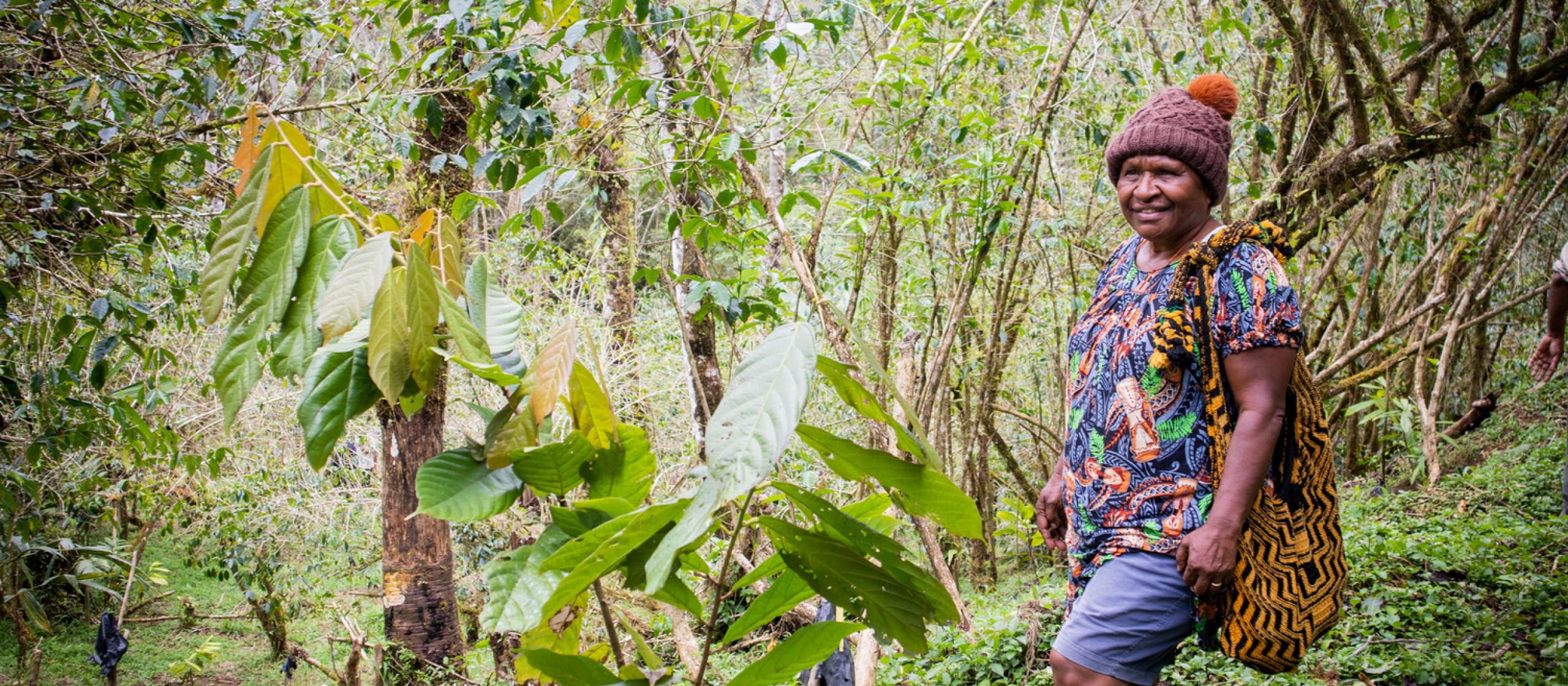 Mrs Aba Wei in her cocoa garden in Gumine district, Chimbu Province. With the introduction of cocoa into parts of the Highlands, local farmers are keen to take up the crop that has primarily been grown in coastal provinces.