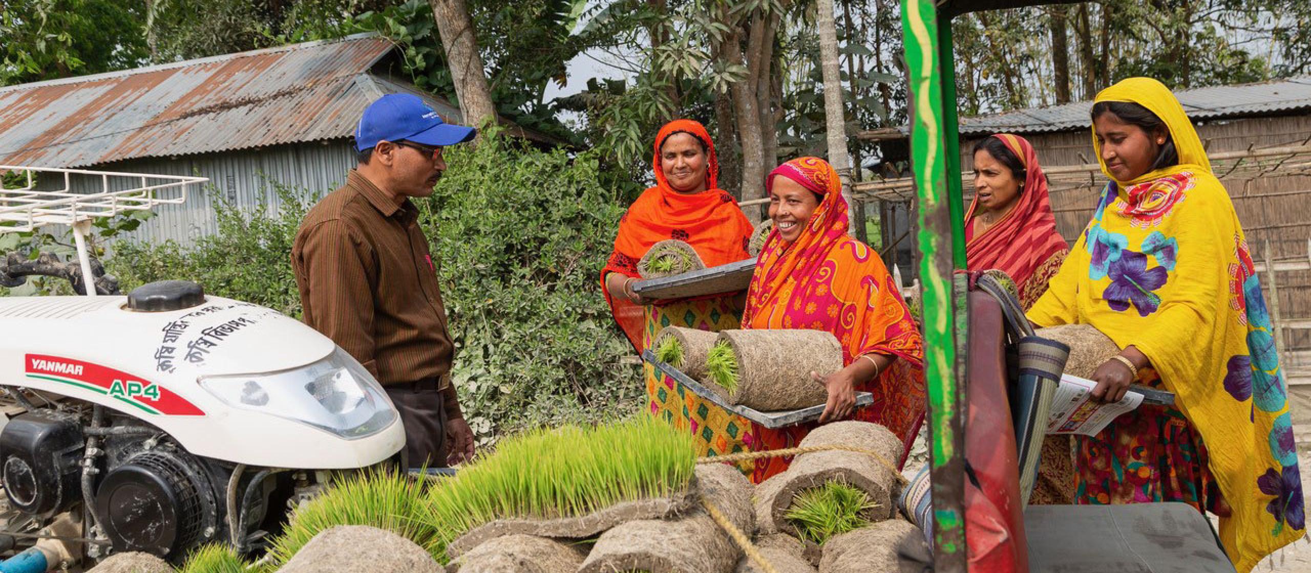 Group of people with rolls of lawn