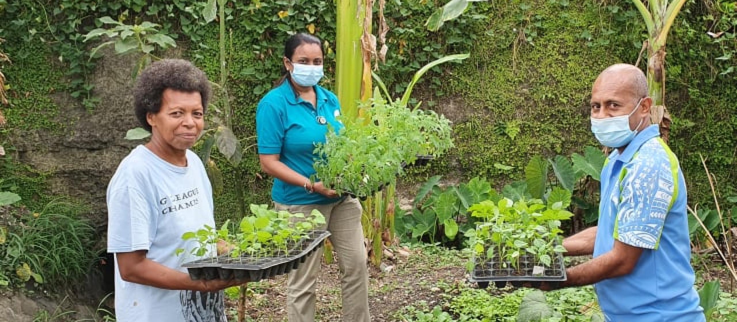 One of the project beneficiaries, Mrs Inise Navusolo (left) is already reaping the benefits of the home gardening project. At 61-years of age, Mrs Navusolo said she had never considered the benefits of a green job right in her backyard.