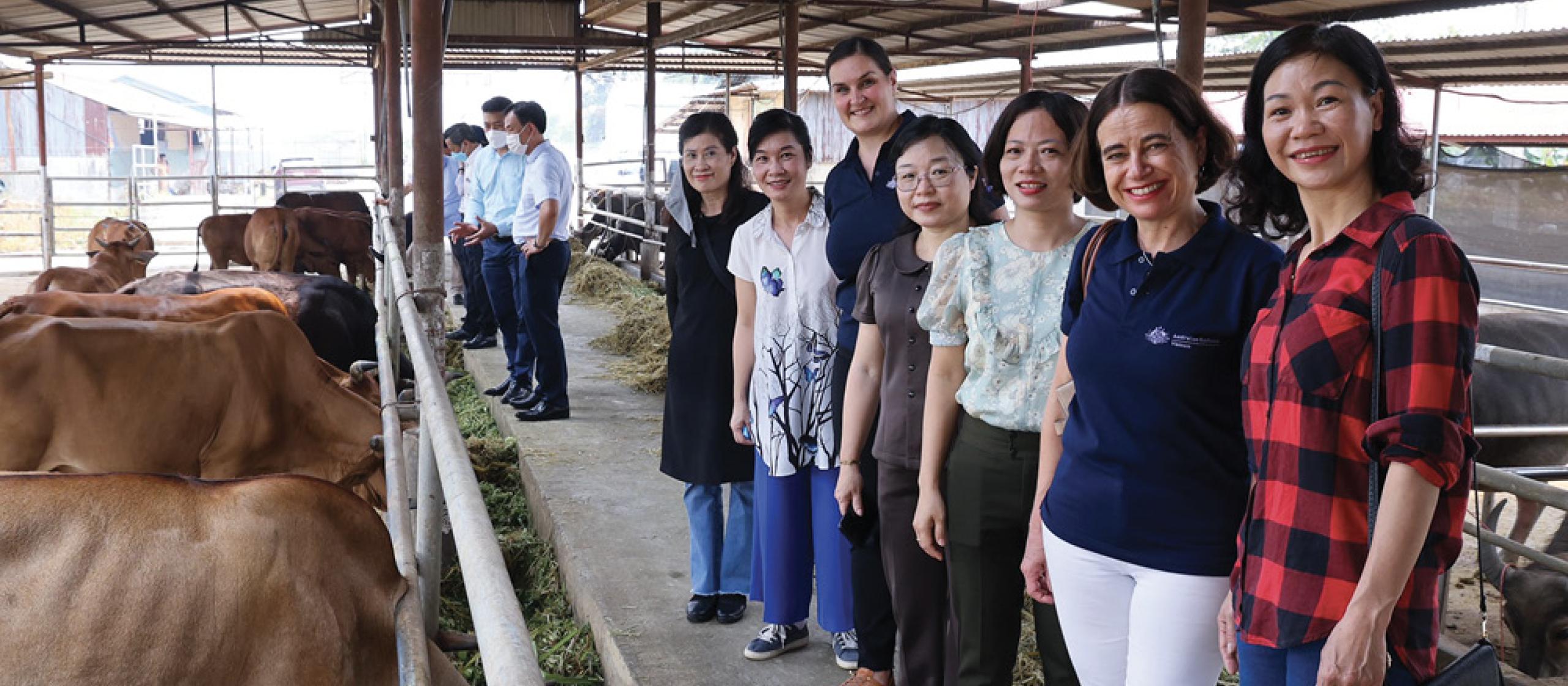 A group of people observe livestock