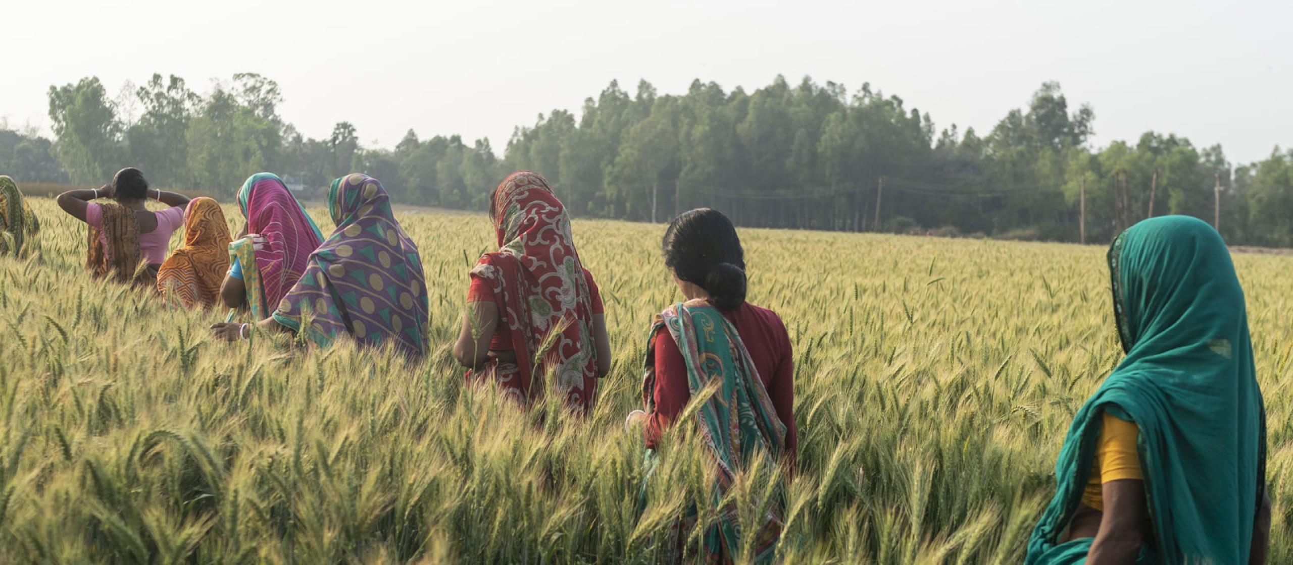 Women walking through crop field