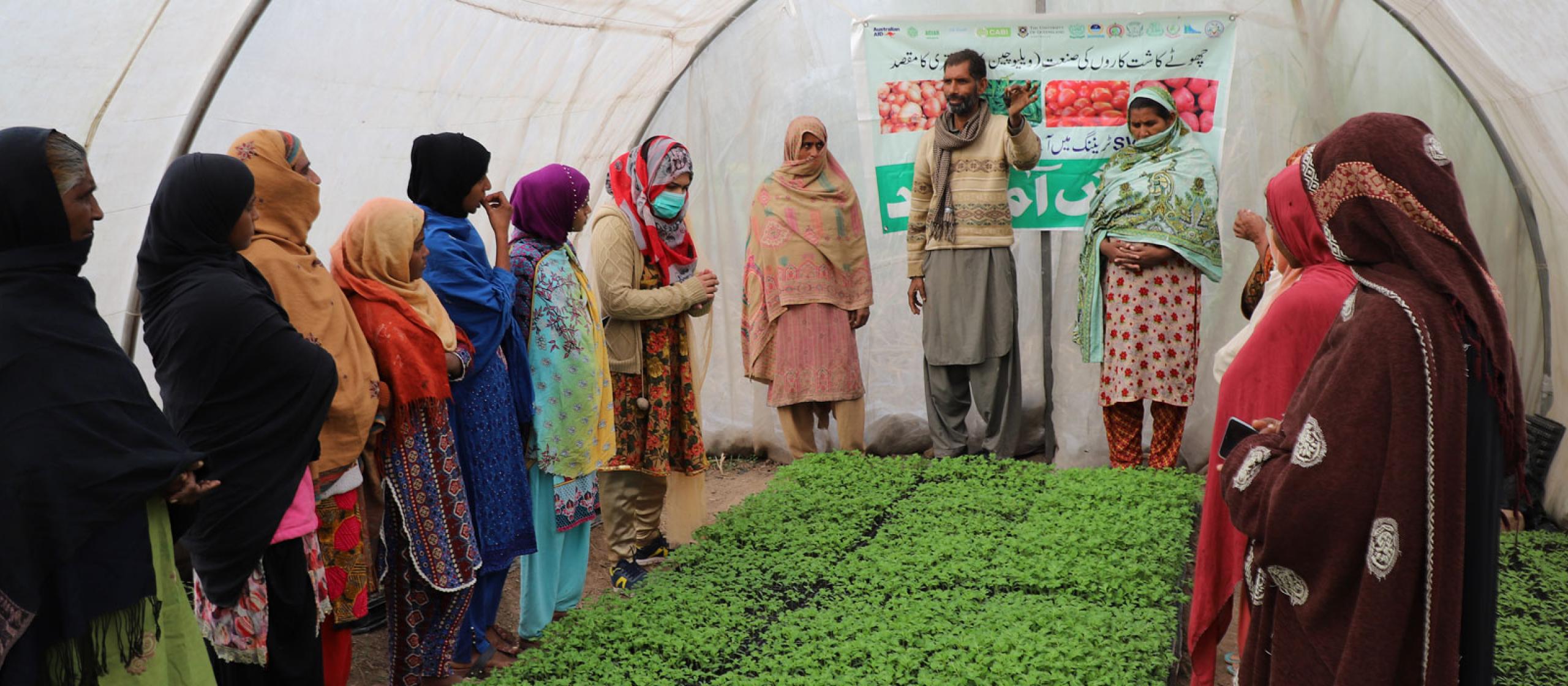 A group of women in colourful clothing listening to a man in a gtreen house with seedlings