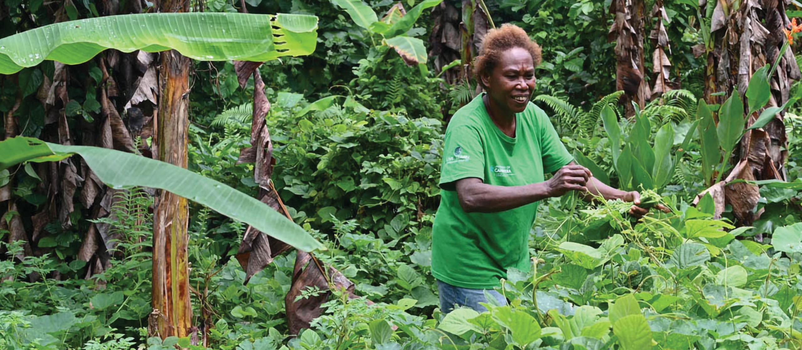 Woman in a green shirt harvesting produce with banana tree in background