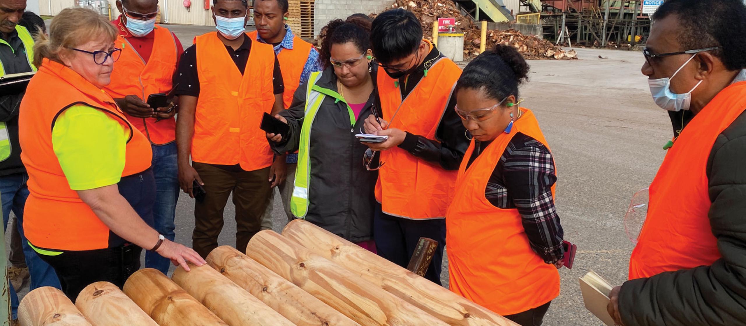 Group of people in high vis vest inspecting a pile of timber in factory yard