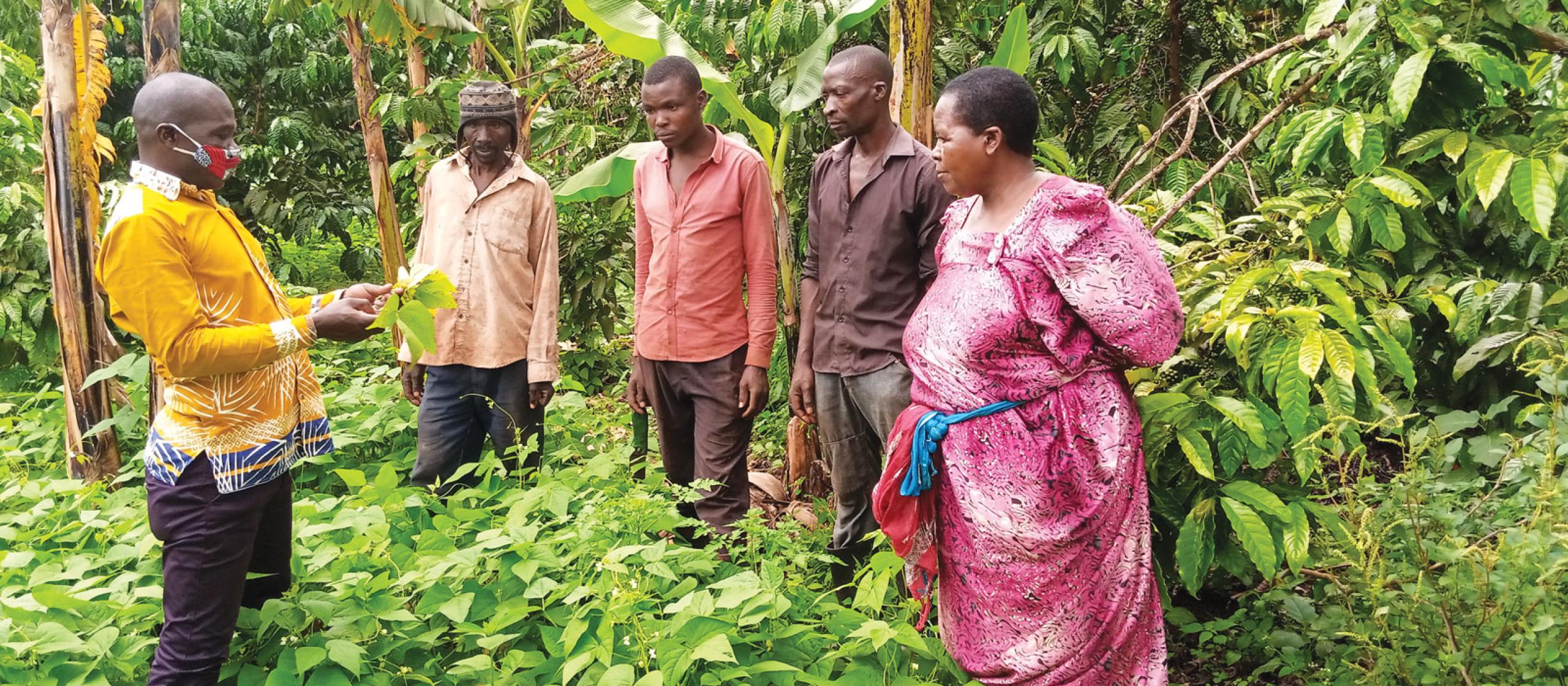 group of people in colourful clothing standing talking amongst crops