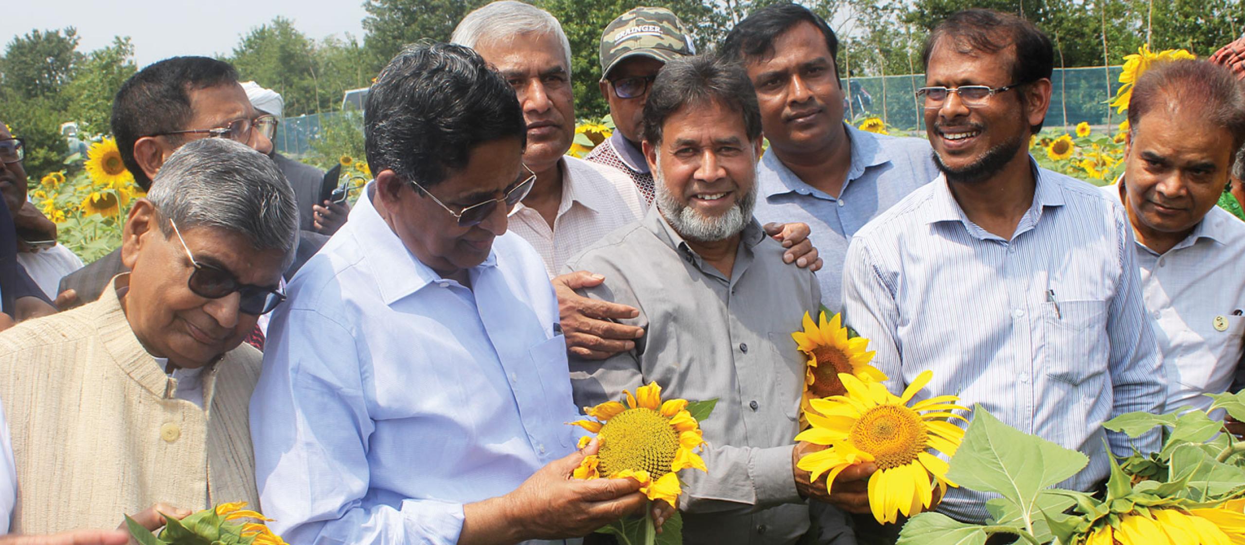 Group of men looking at sunflowers