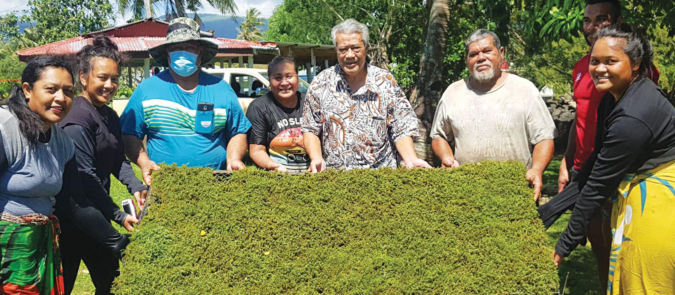 group of people holding a large piece of green sea grapes