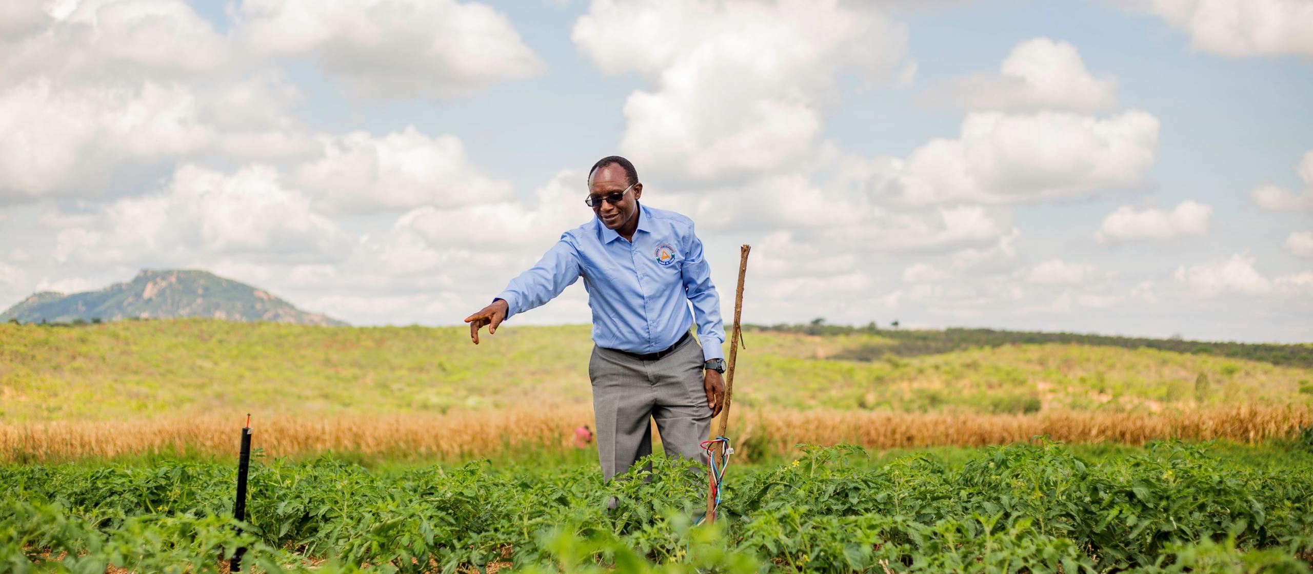 Man standing in crop field point at irrigation pipe