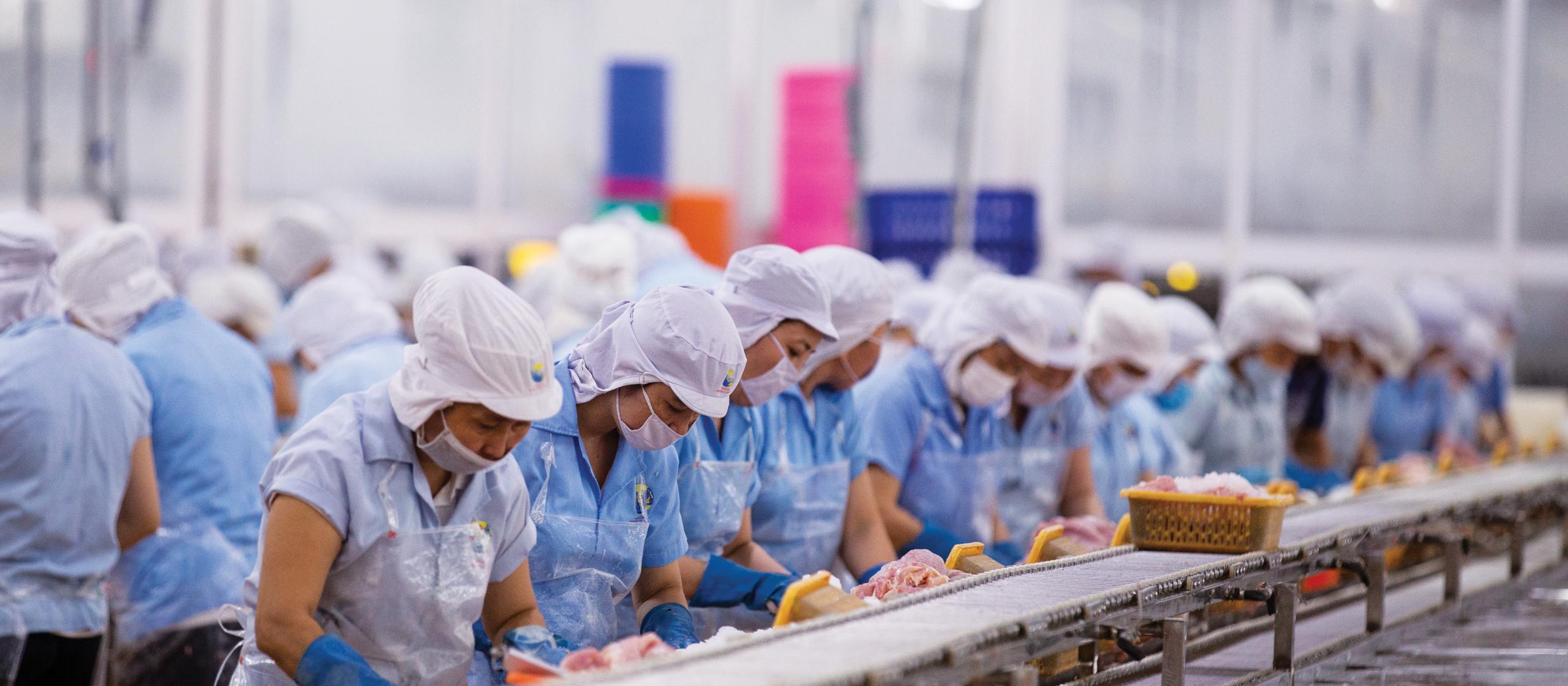 workers processing catfish wearing blue uniforms and white hairnets