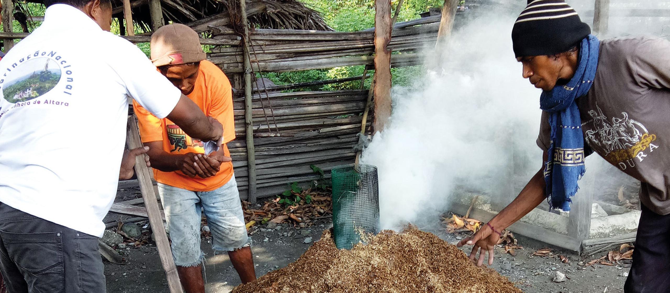 Men burning a large pile of rice hulls.