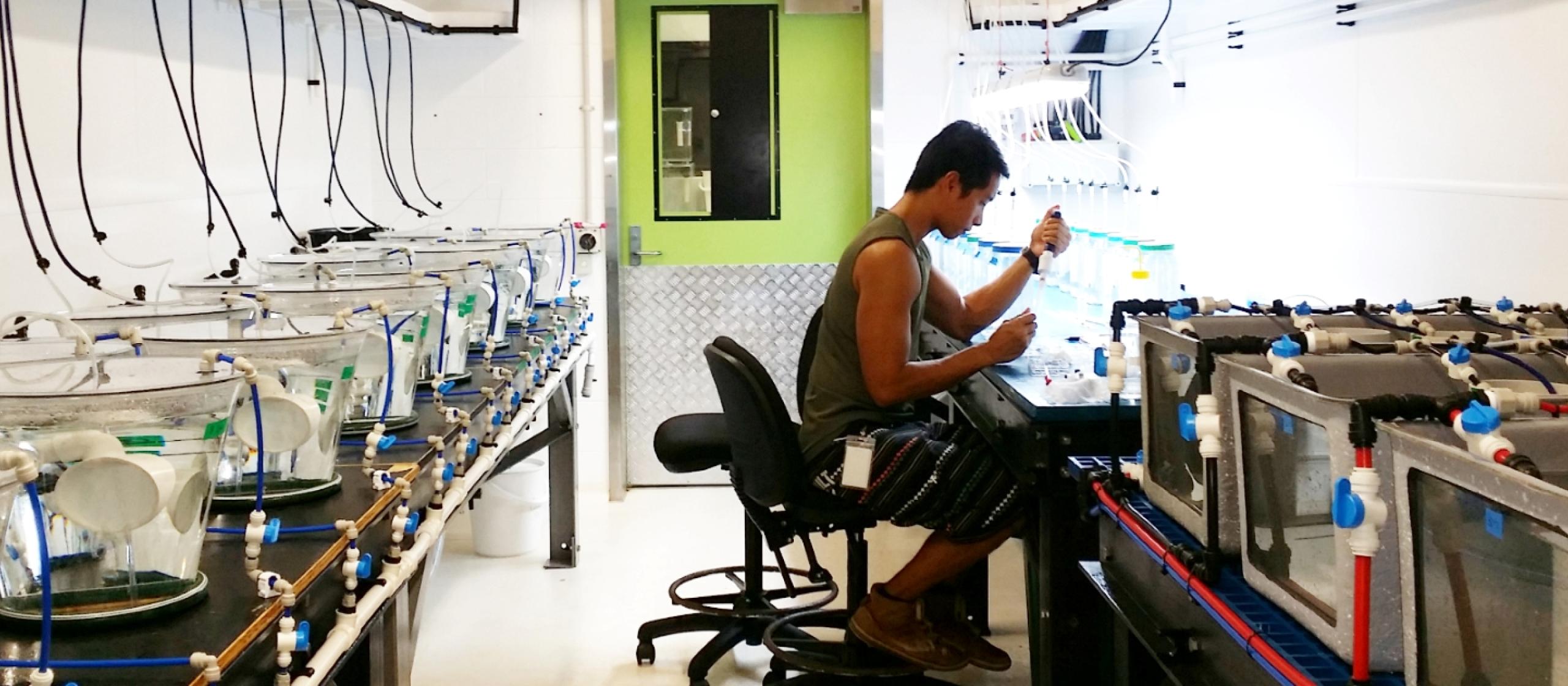 Man working at a desk in a laboratory