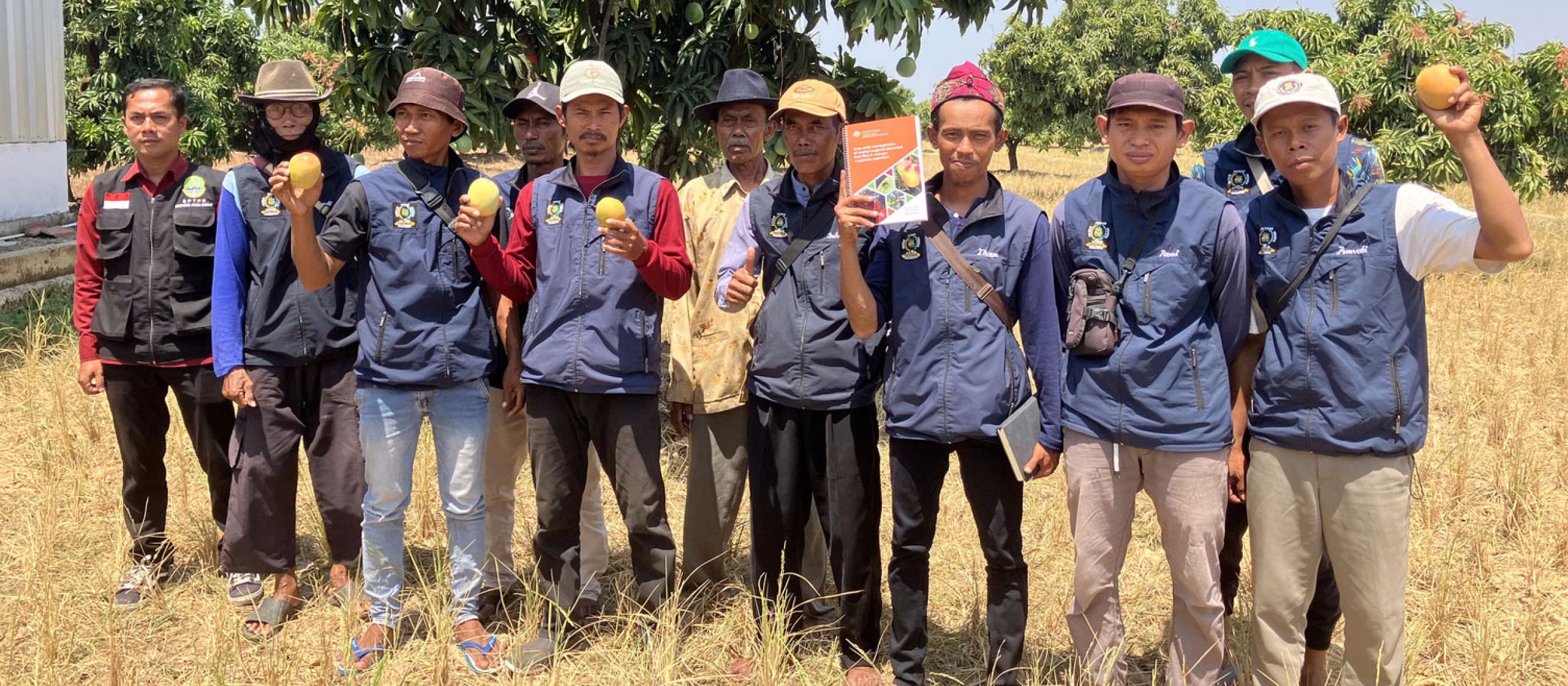 Mango farmers