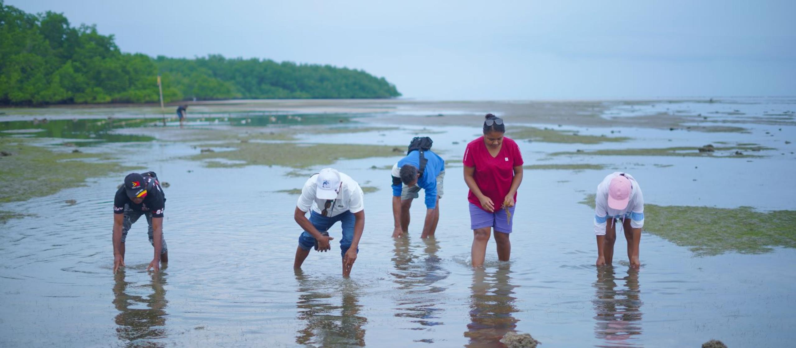 People standing in ankle-deep water