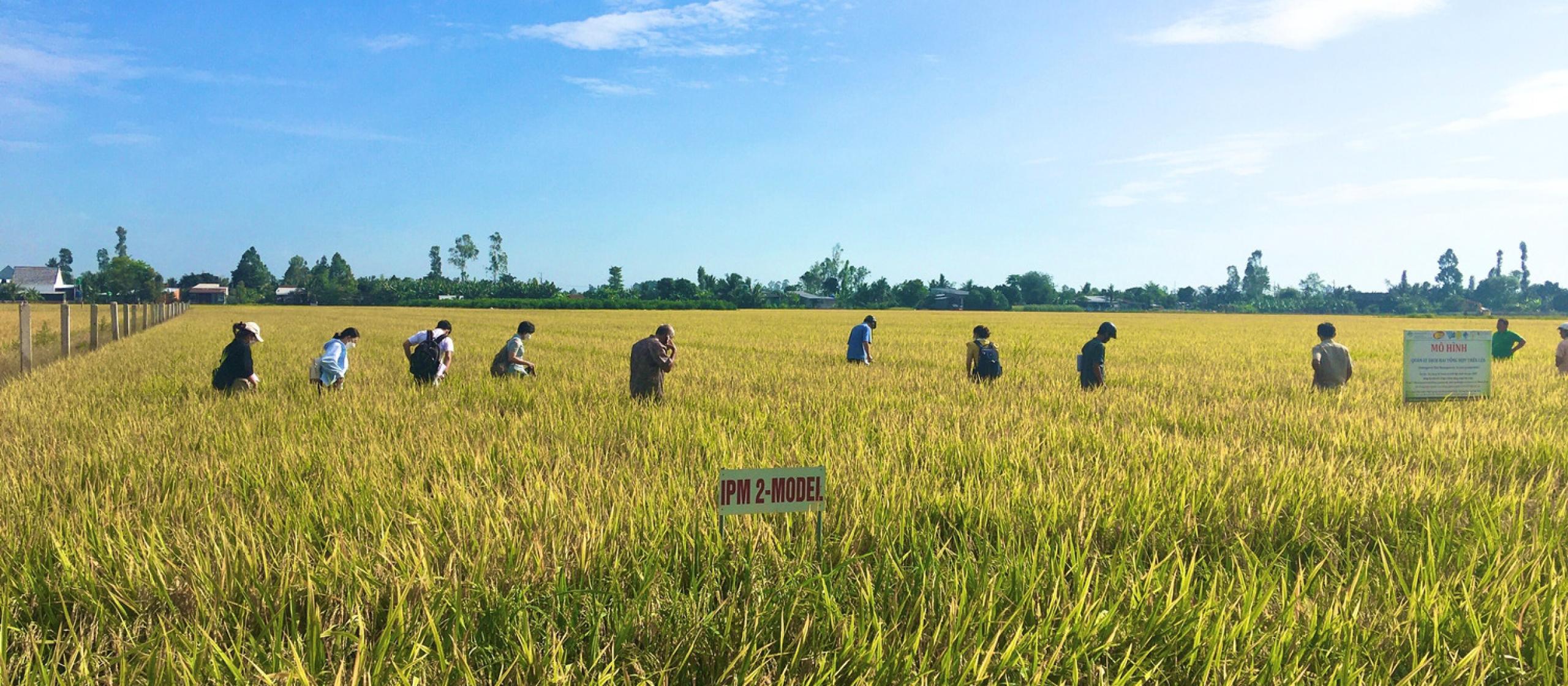 A line of people in a field