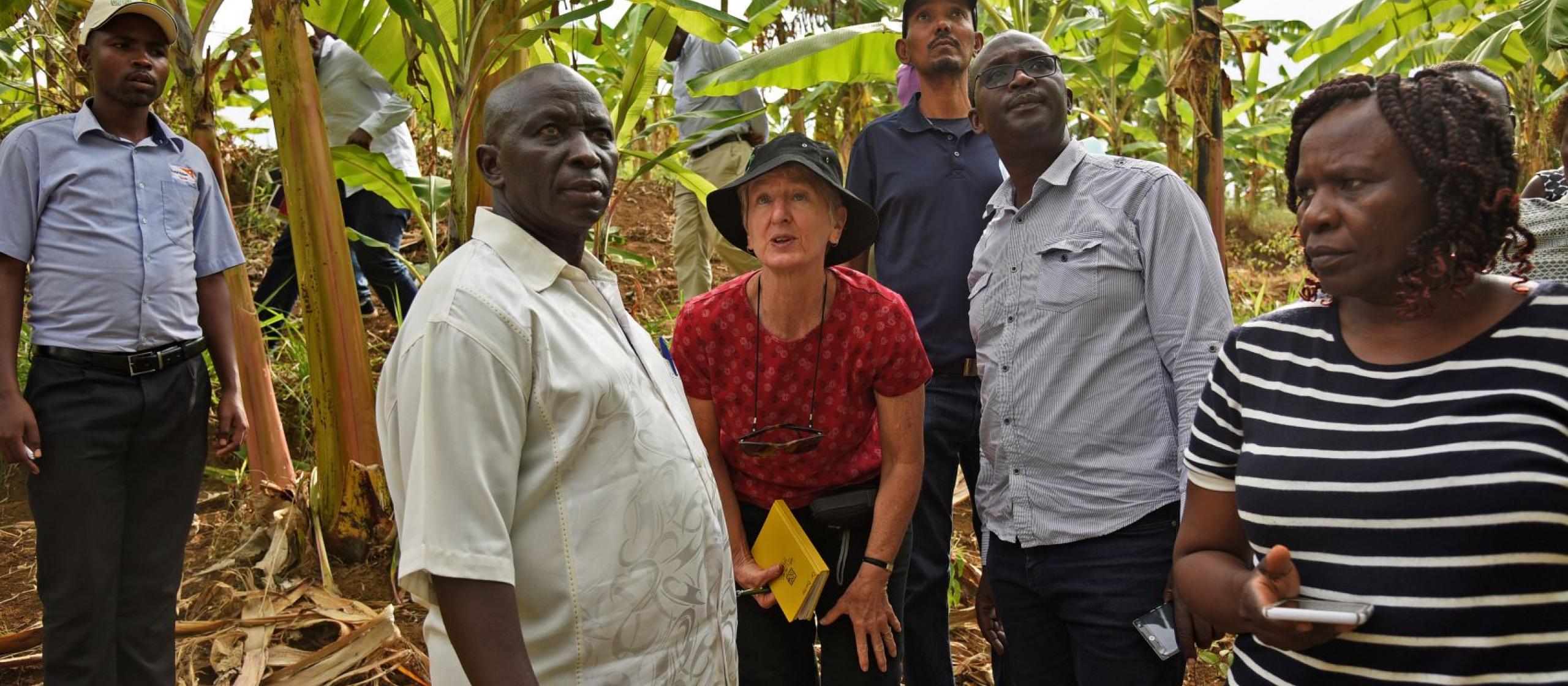 Nora Devoe stands with a group of people looking up towards the tops of the trees.