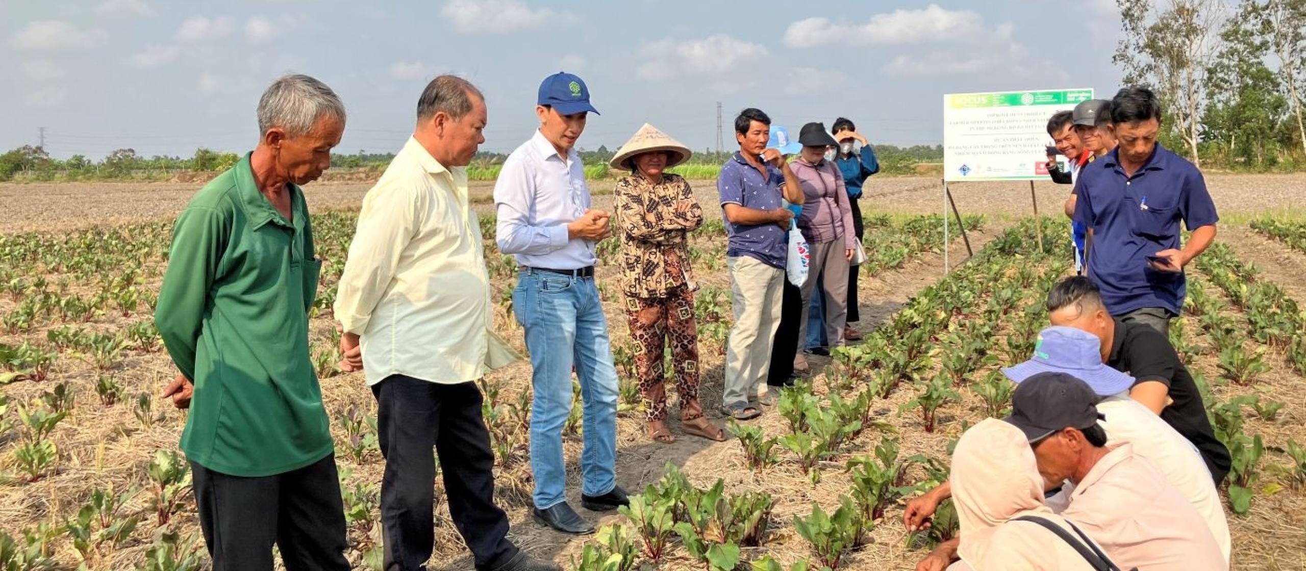 Group of farmers and researchers inspecting vegetable crops during a field training session.